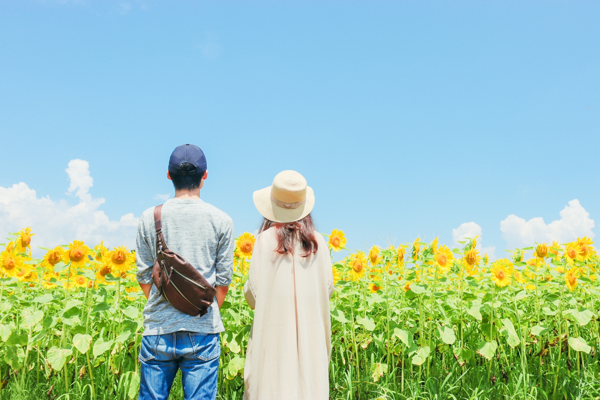 青森県安心安全おすすめレンタル彼女